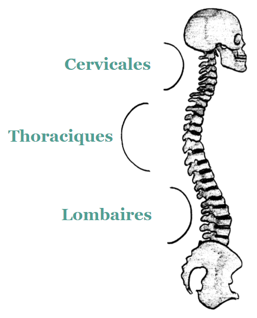 osteoparis - ostéopathe paris 13